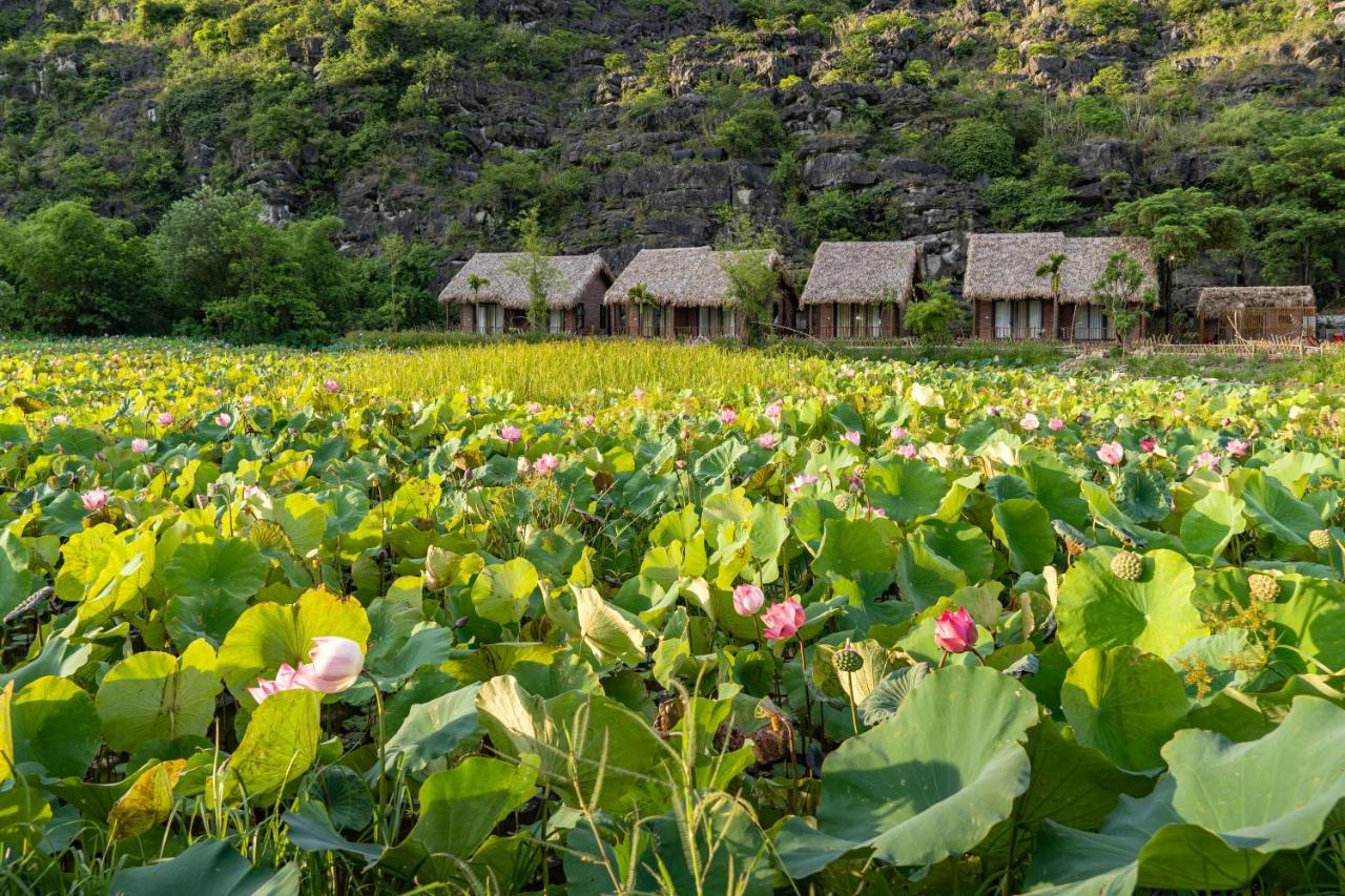 Muong Village Ninh Binh Zewnętrze zdjęcie