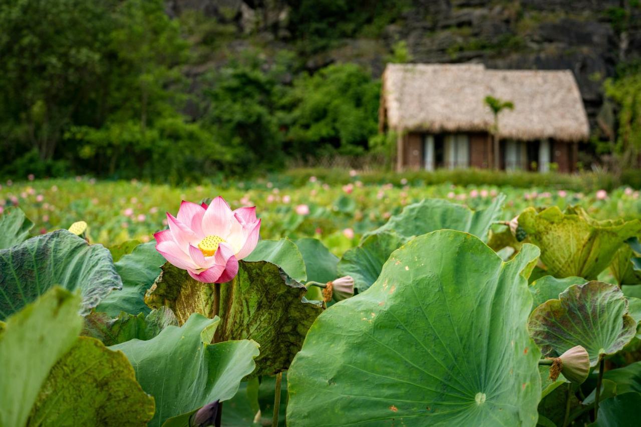 Muong Village Ninh Binh Zewnętrze zdjęcie